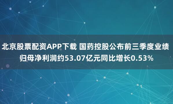 北京股票配资APP下载 国药控股公布前三季度业绩 归母净利润约53.07亿元同比增长0.53%