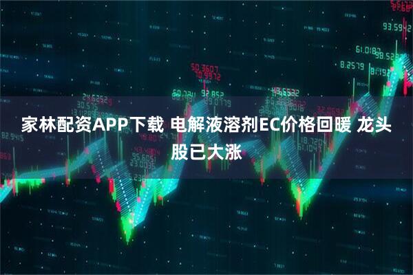 家林配资APP下载 电解液溶剂EC价格回暖 龙头股已大涨